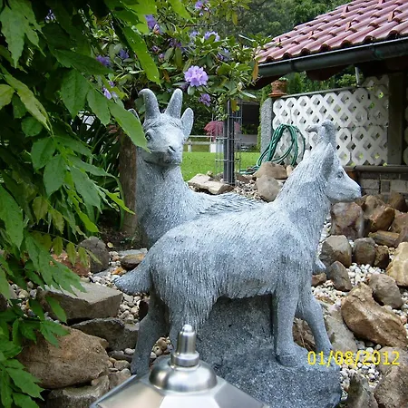 Ruhige Oase Mit Pool & Garten Ferienwohnung Niggl *